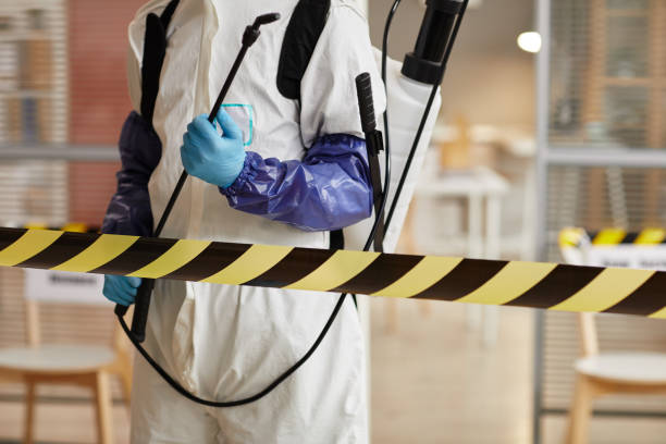 Professional Odor Removal technician working in Modoc, IN